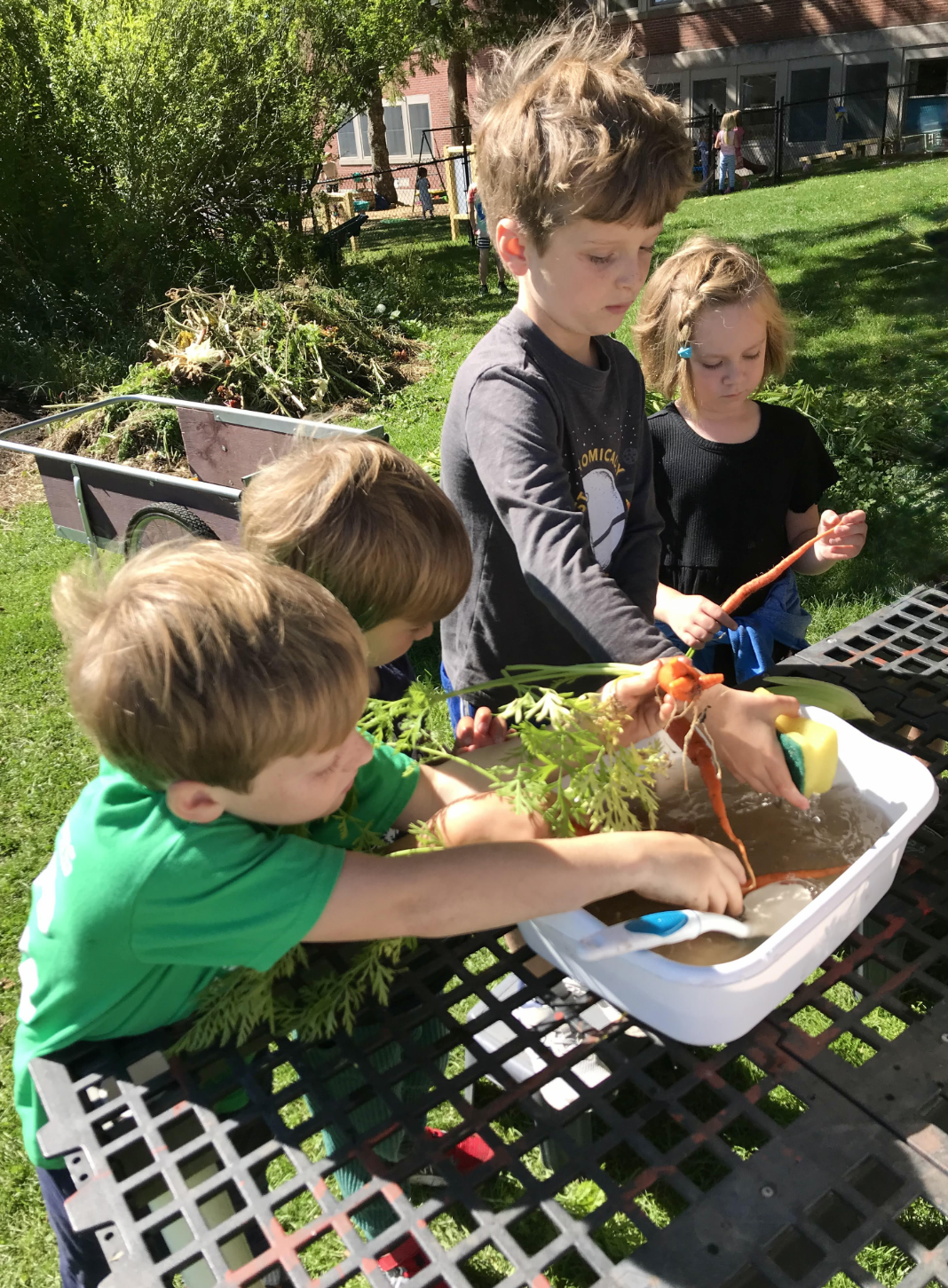MDES Newsletter
