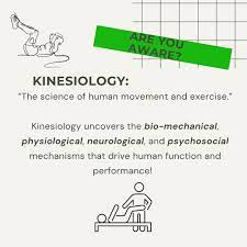 Miss Cook - Kinesiology