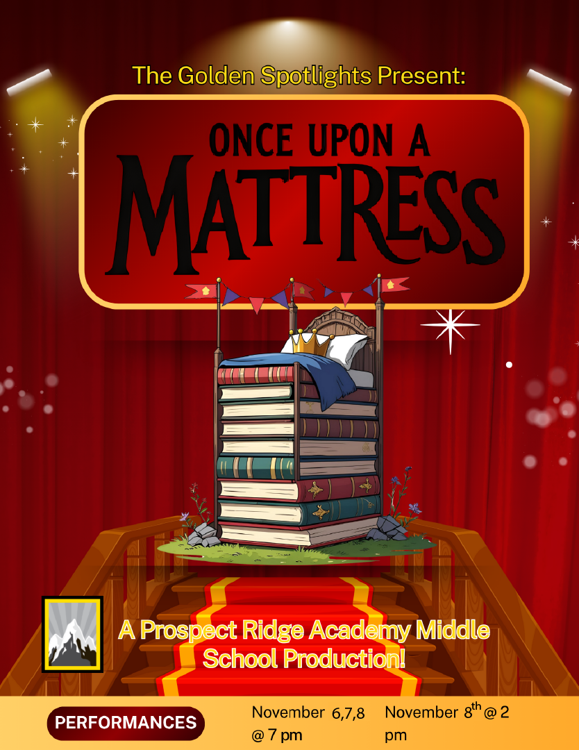 Once Upon a Mattress