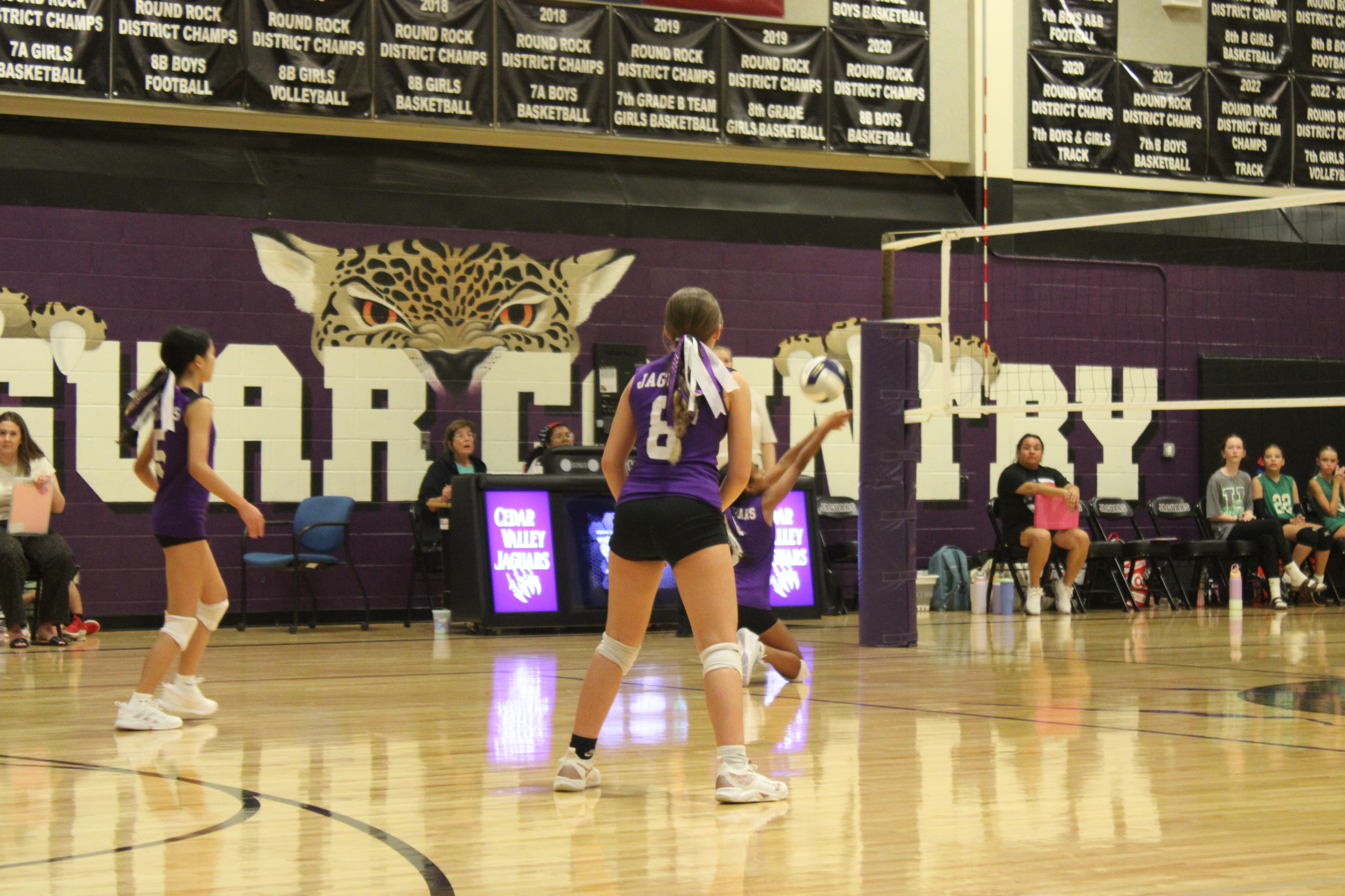 vb