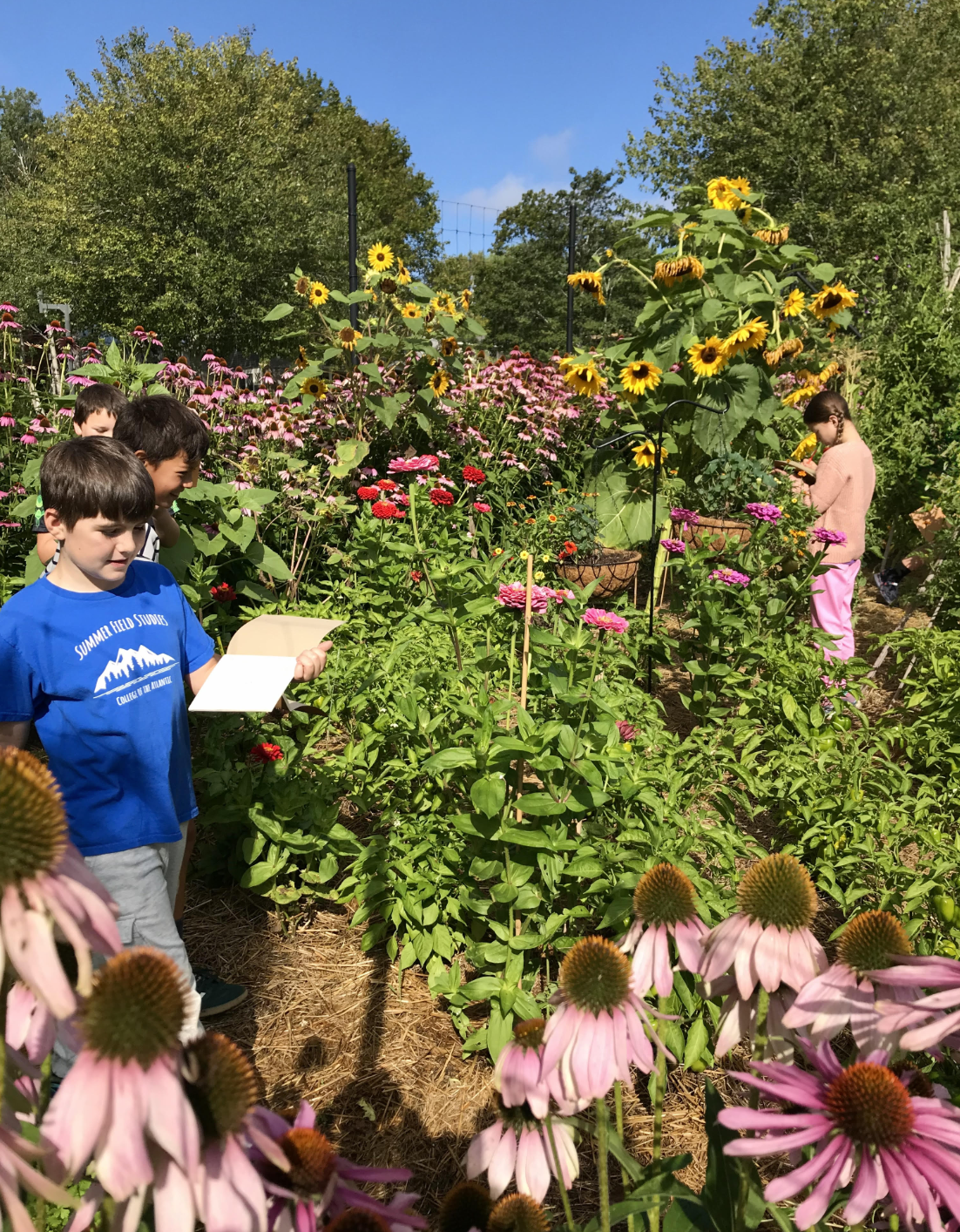 mdesnewsletter