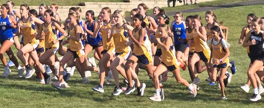 Cross country runners