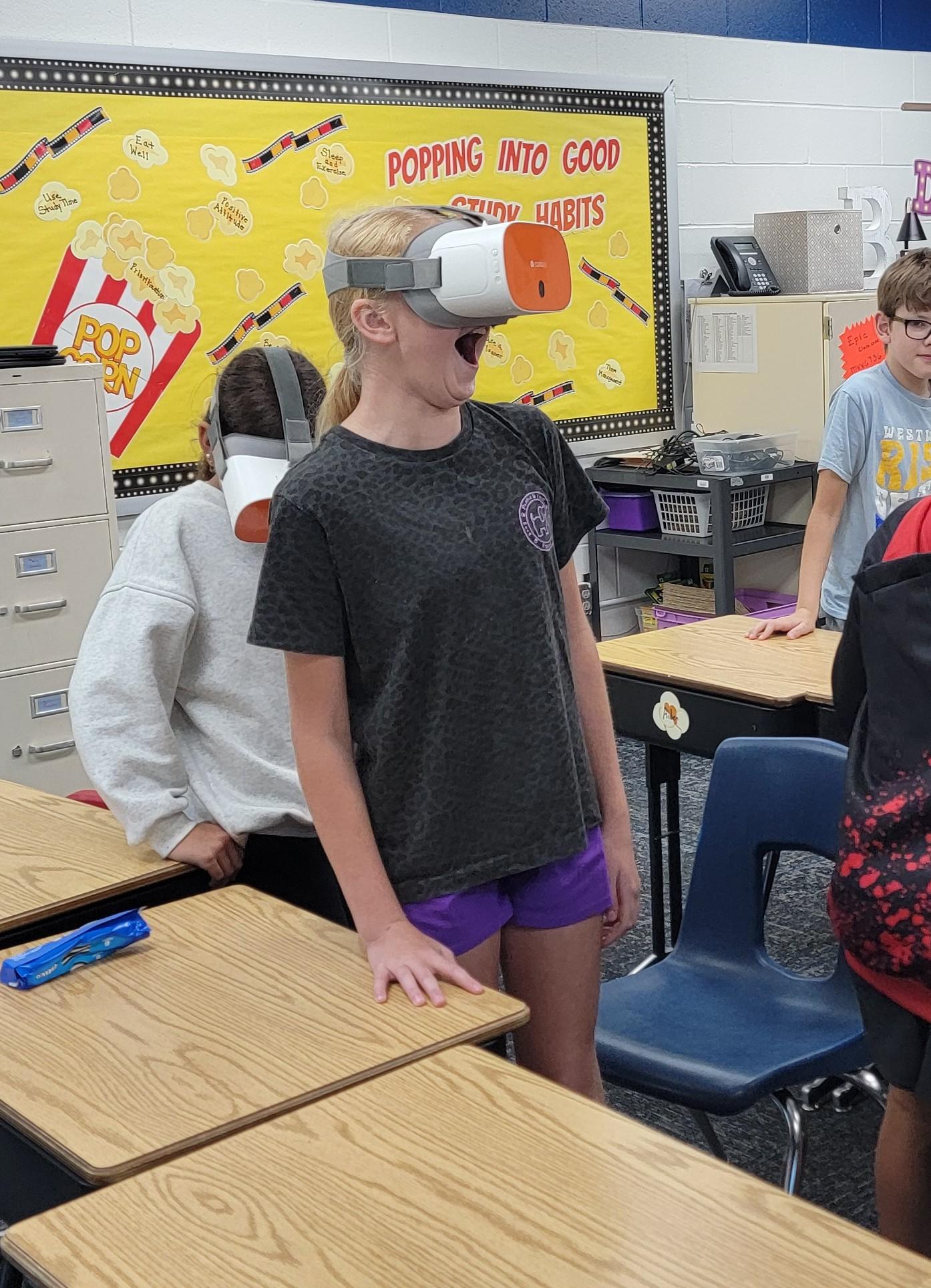 Virtual Reality Goggles