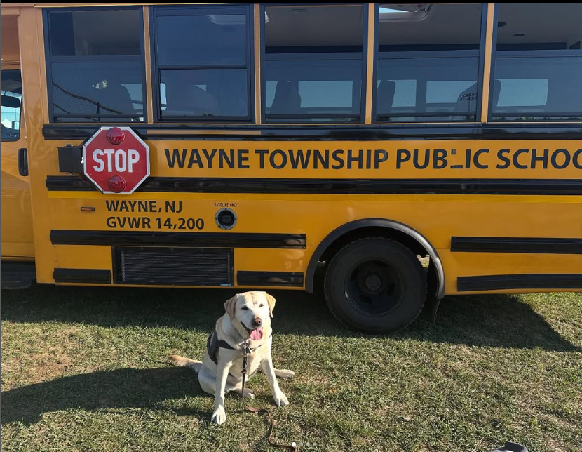 Daisy at Wayne Day