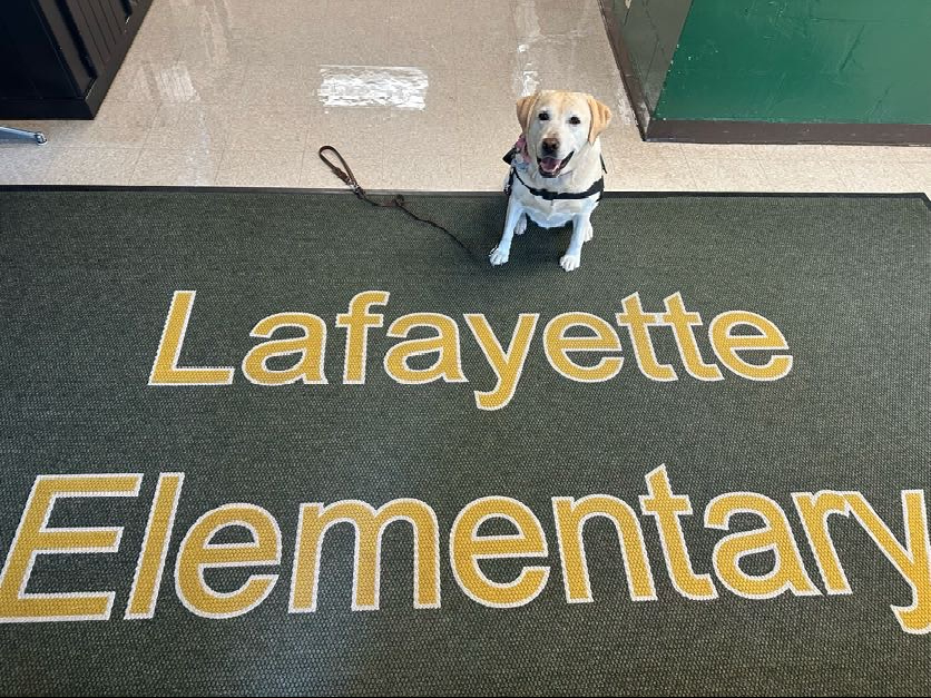 Daisy at LAF