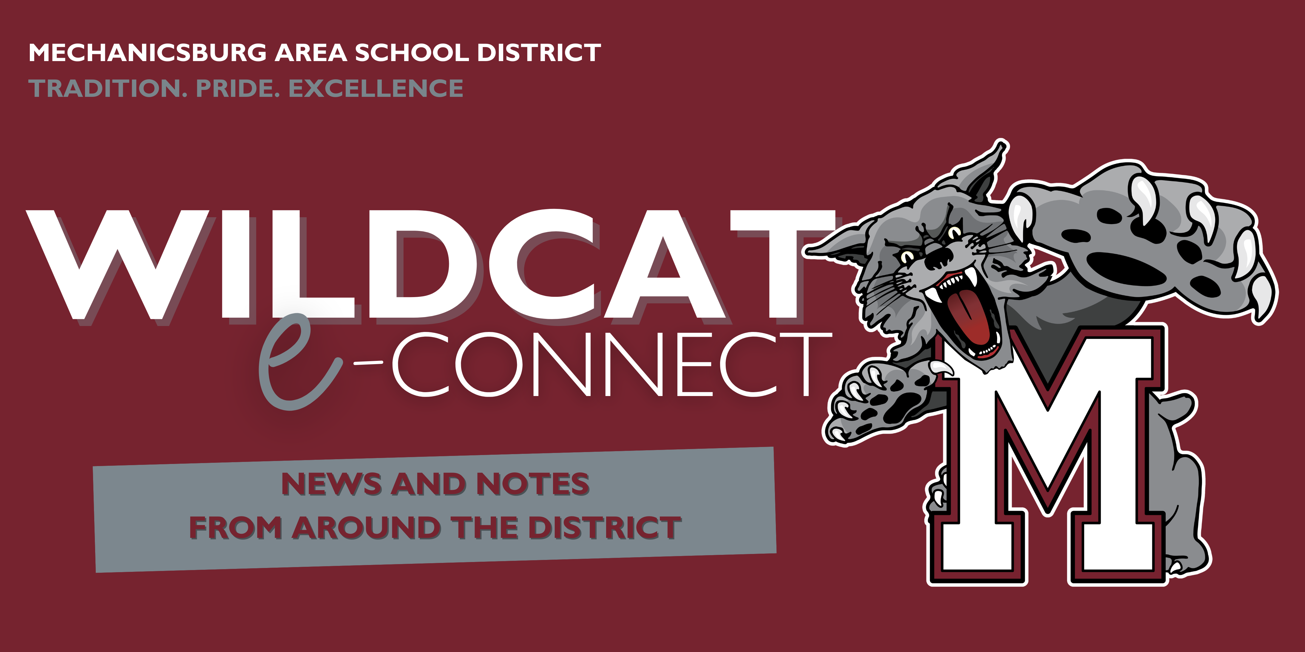 Maroon header that says Wildcat e-Connect and includes a Wildcat M logo