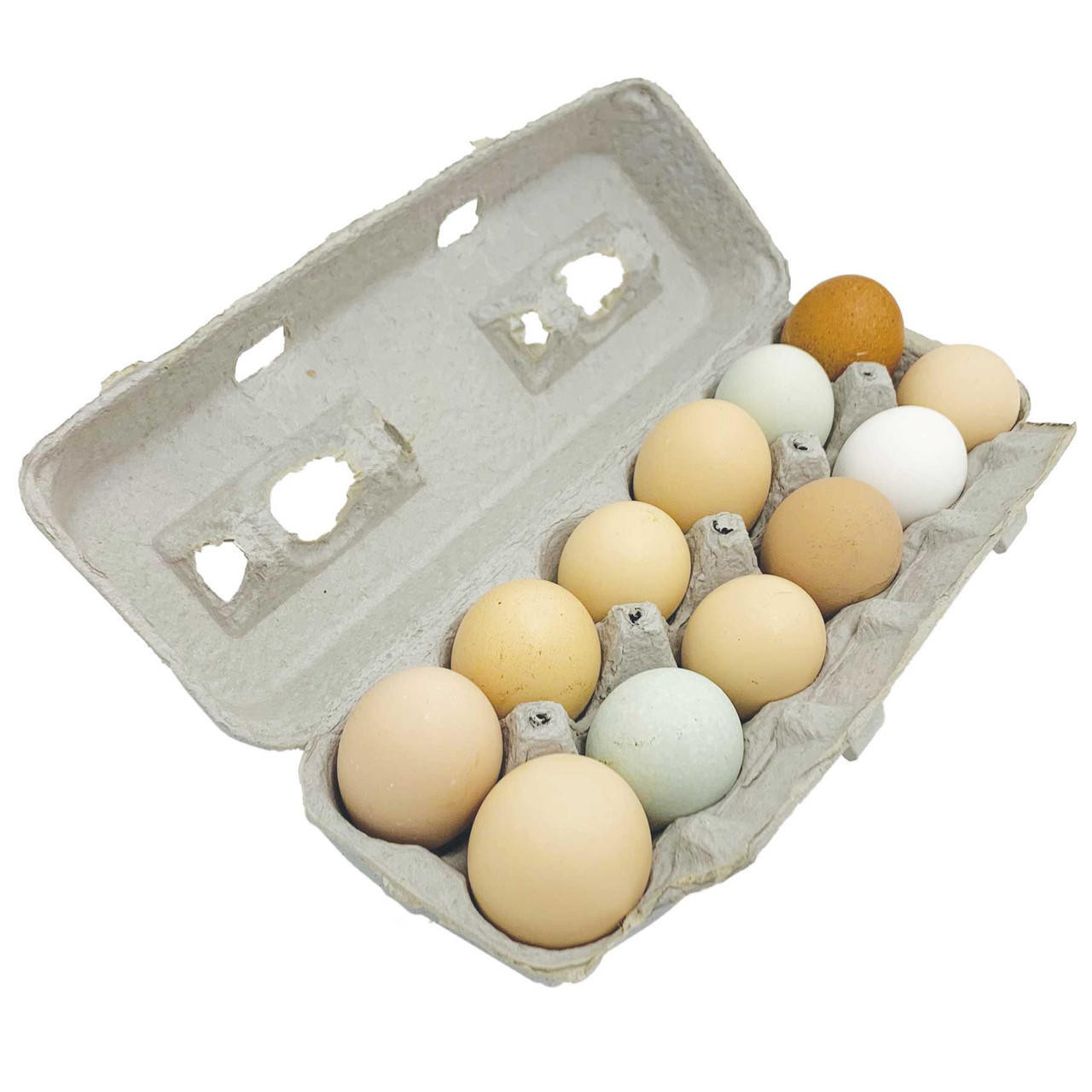 egg
