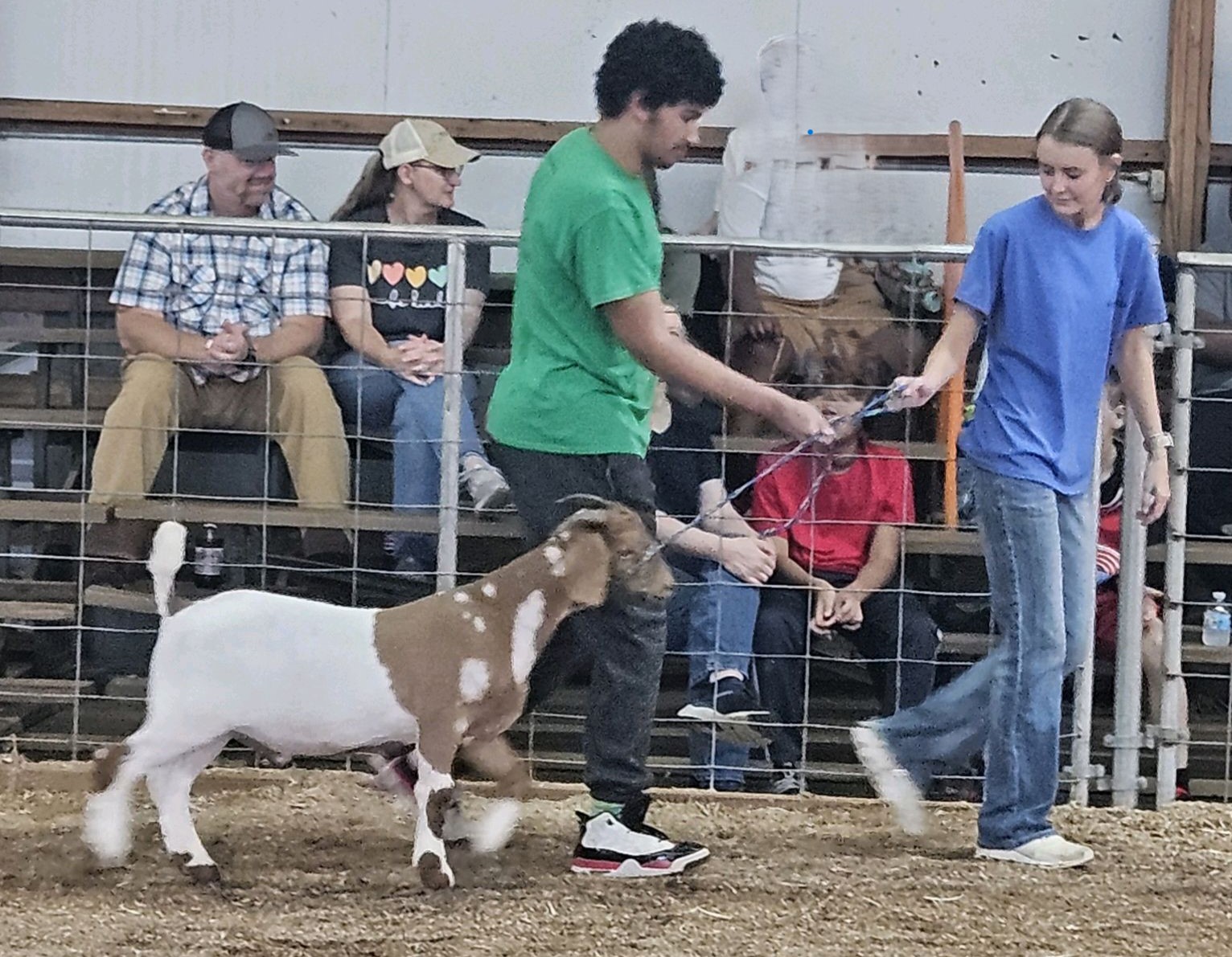 HCHS student showing a goat at the Day of Champions
