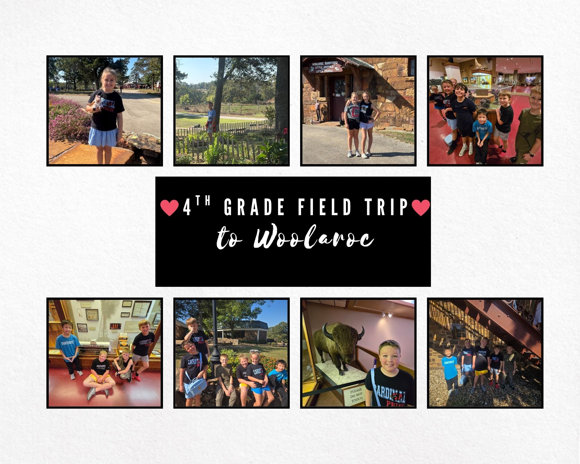 CUE Cardinal Connection