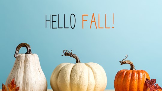 hello fall