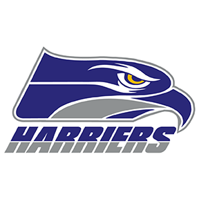 A blue and gray eagle logo on a black background. The words 