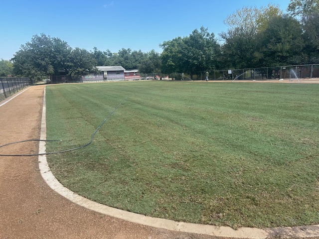 Photo of New Grass Area