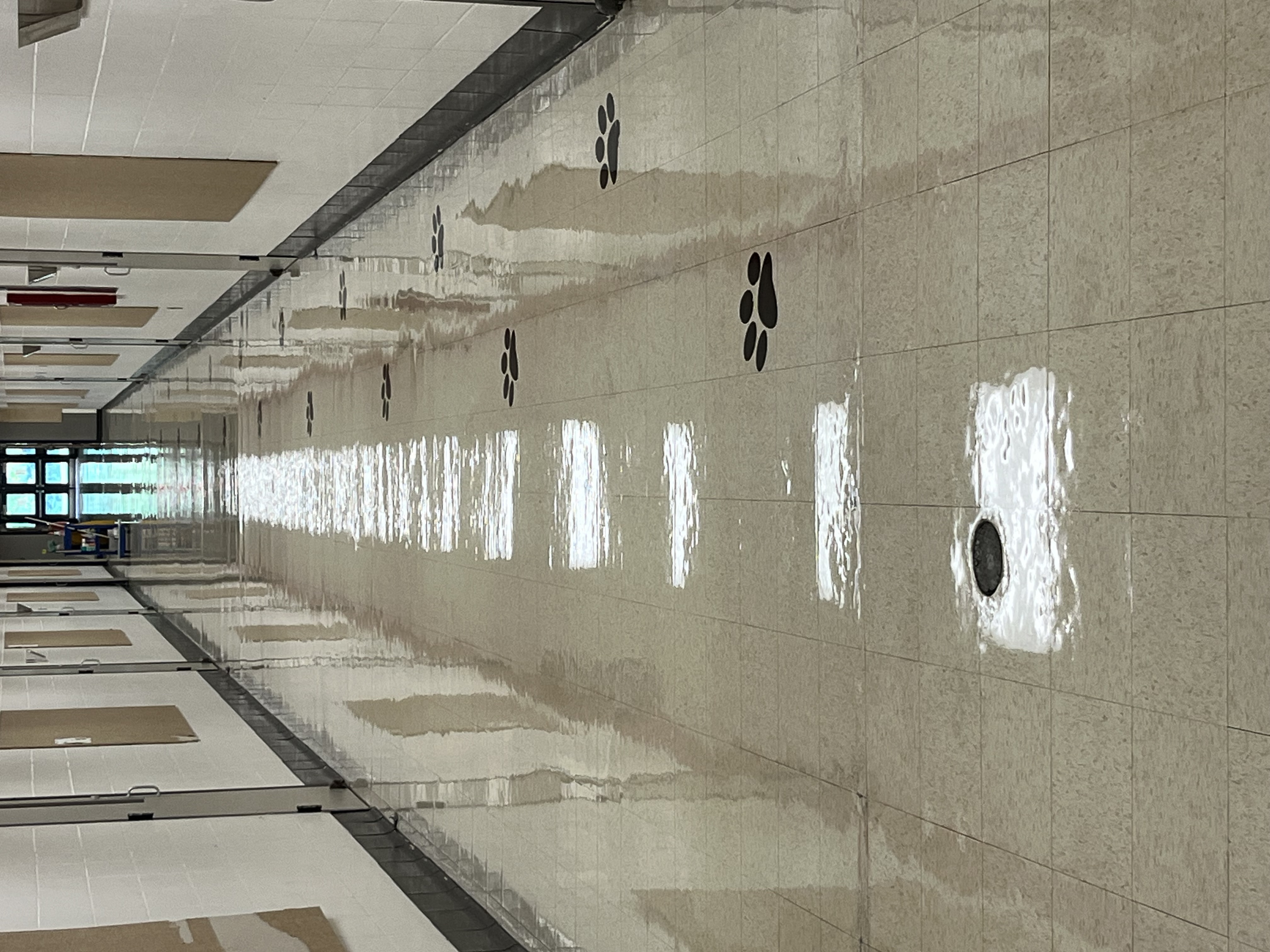 A hallway in our school.  It's so shiny! Reflections of light on the floor, showcasing the freshly finished wax. 