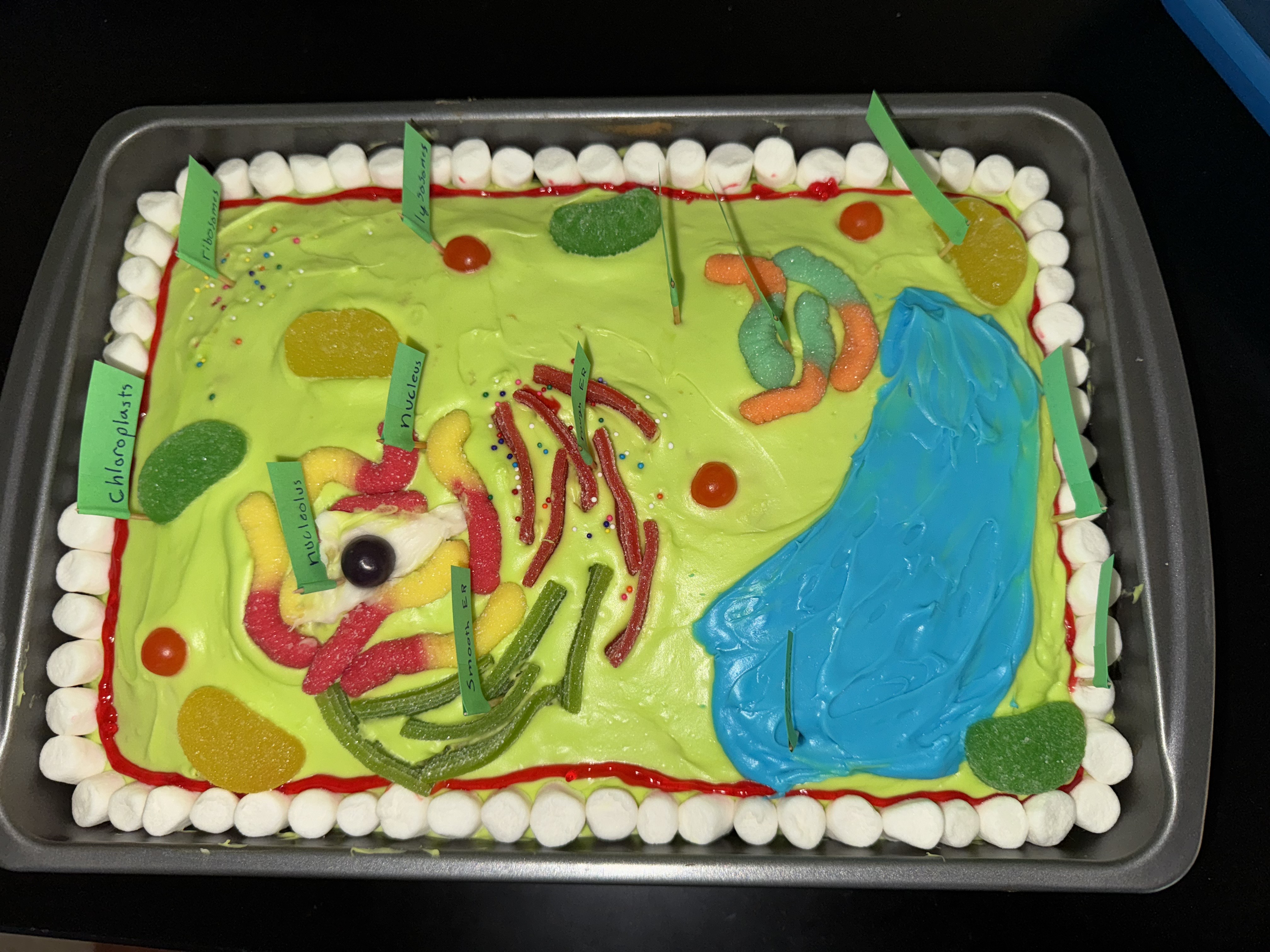 Miss S. Cook - Science