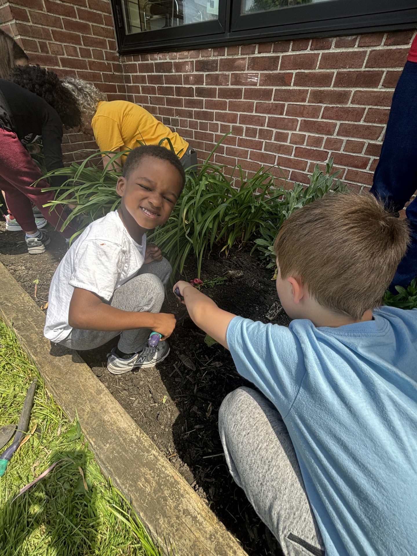 Students gardening