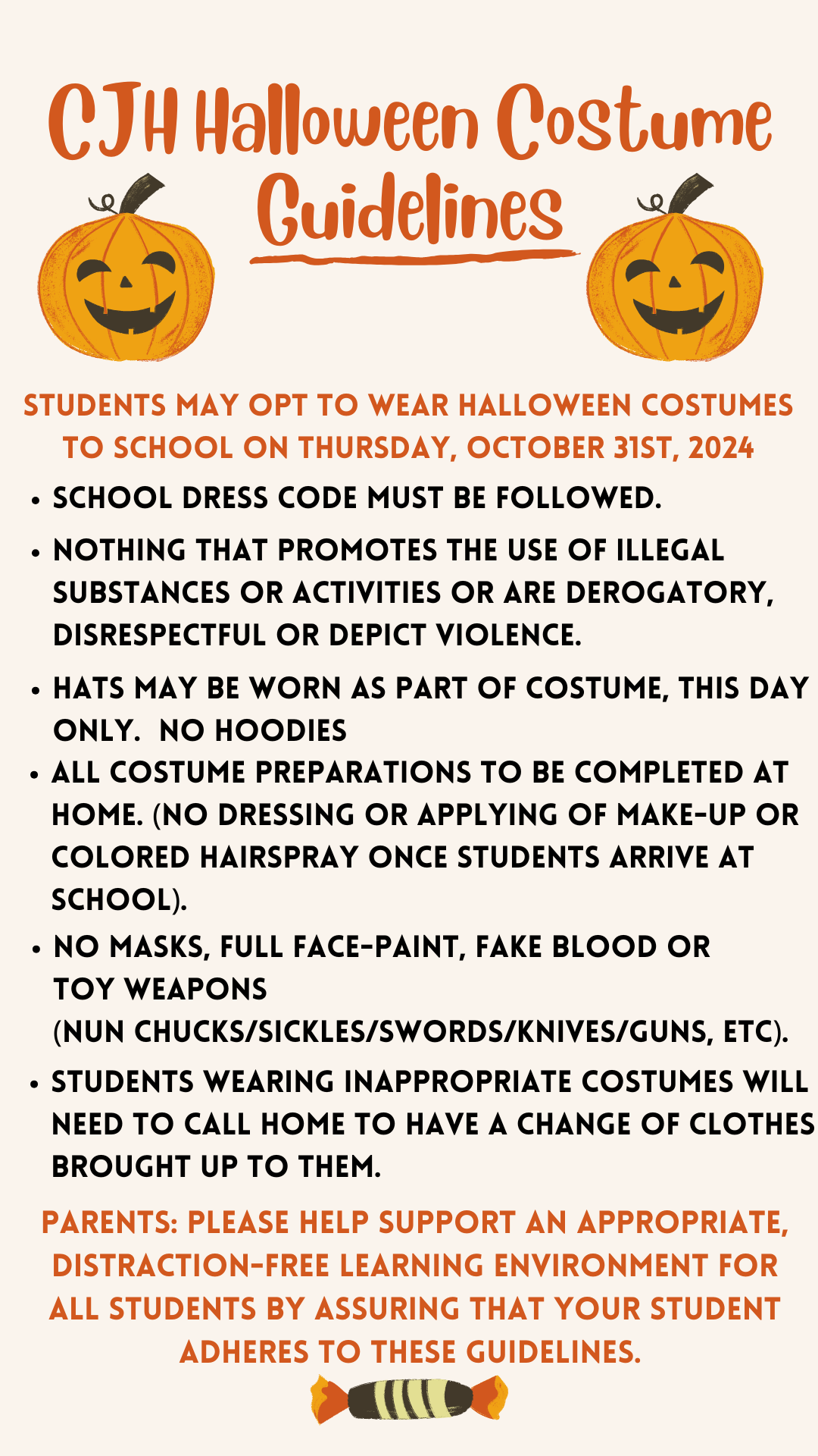 costume guideline