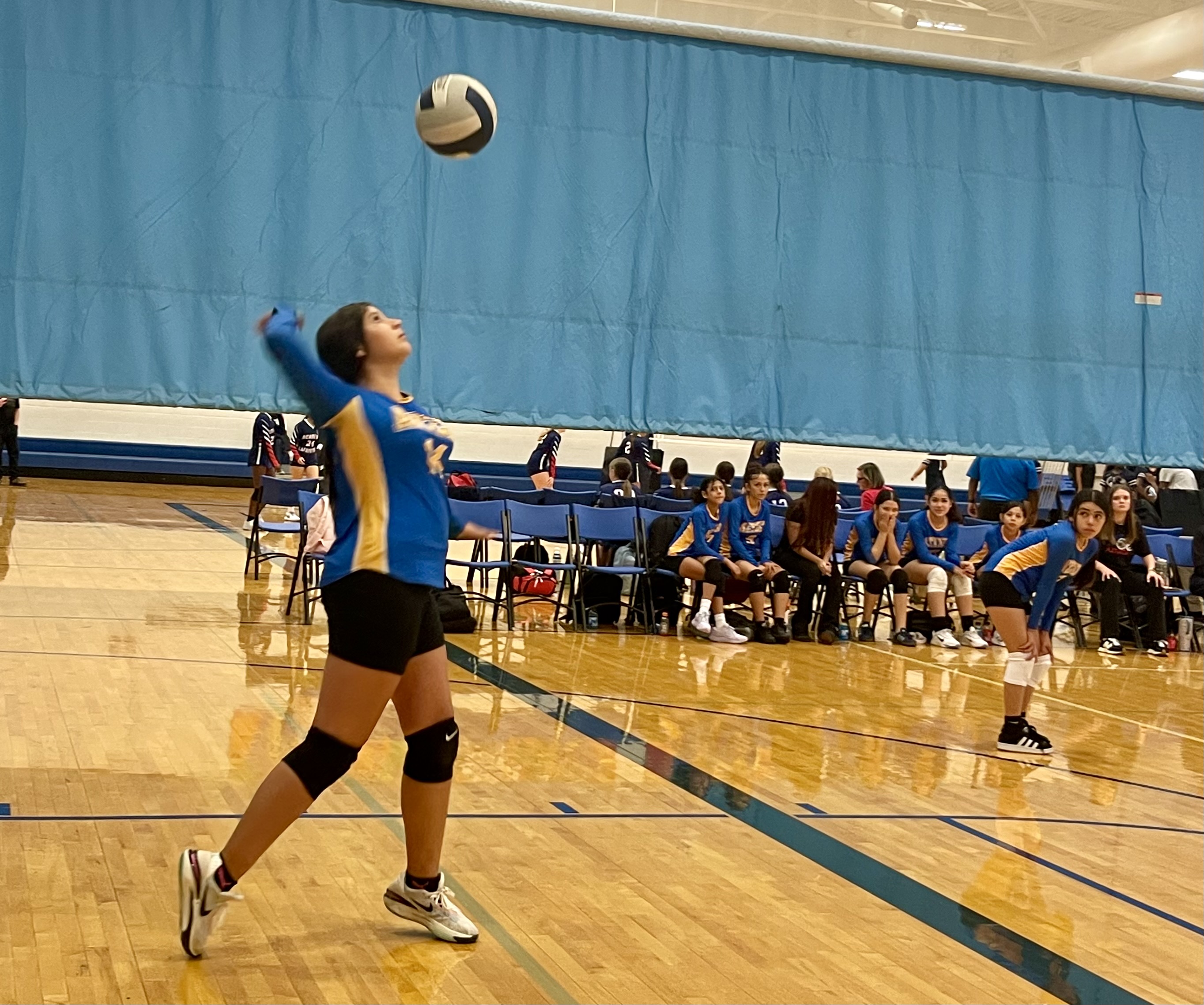 vb