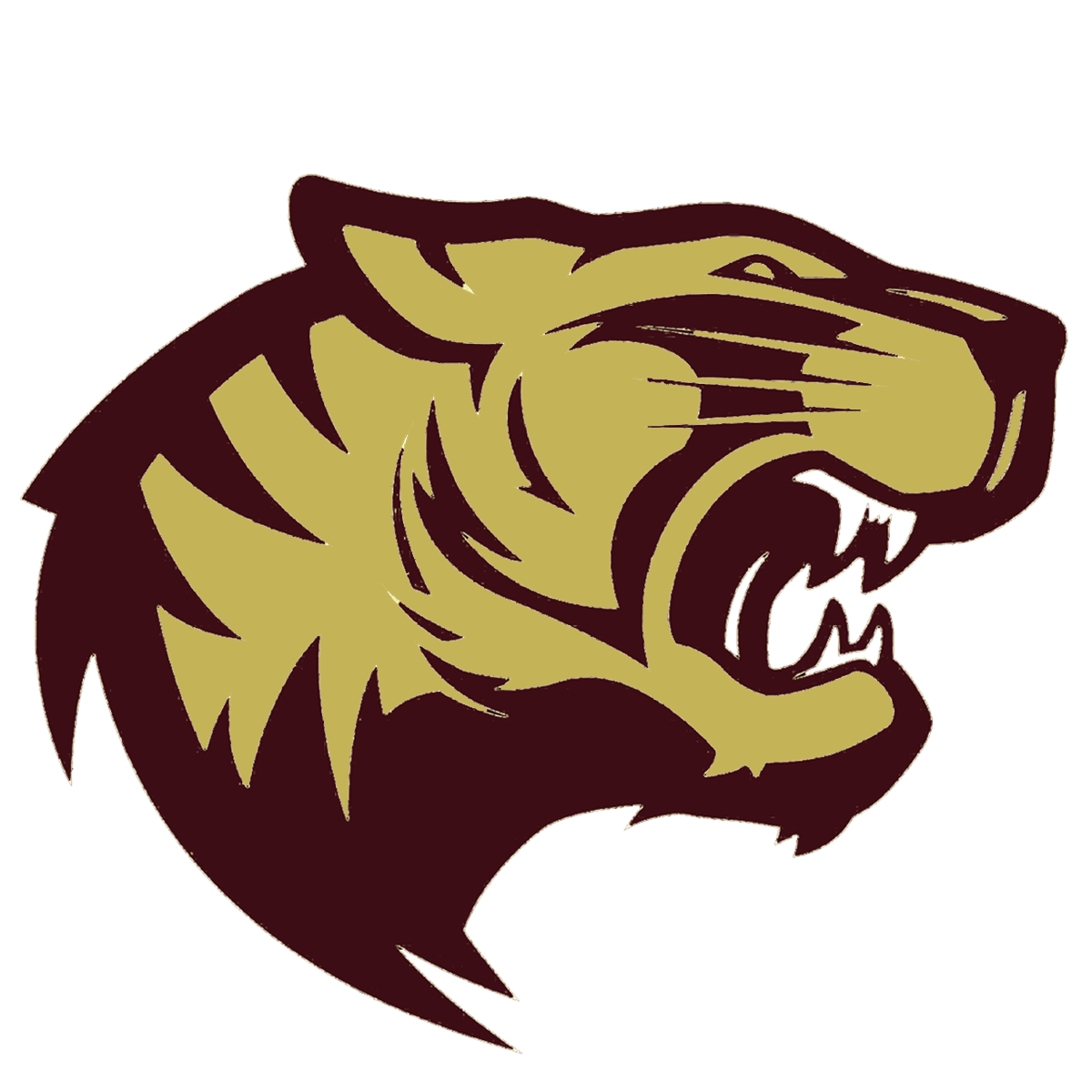 July 2024 "Board Brief"