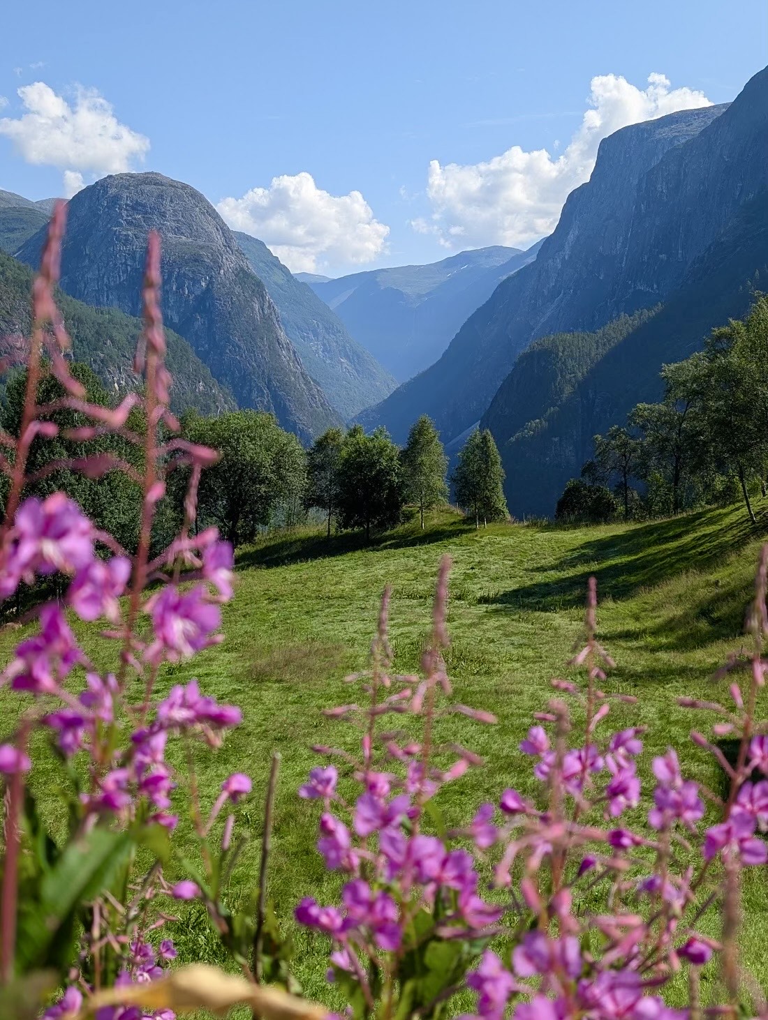 Norway by Mrs. Potts