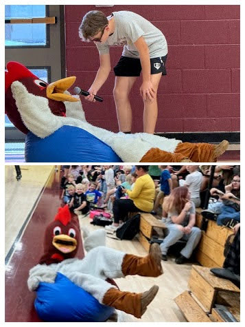 Gamecock Mascot