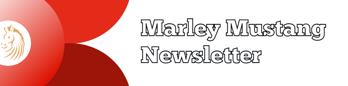 Mustang Newsletter