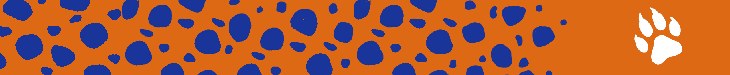 Cheetah spots banner