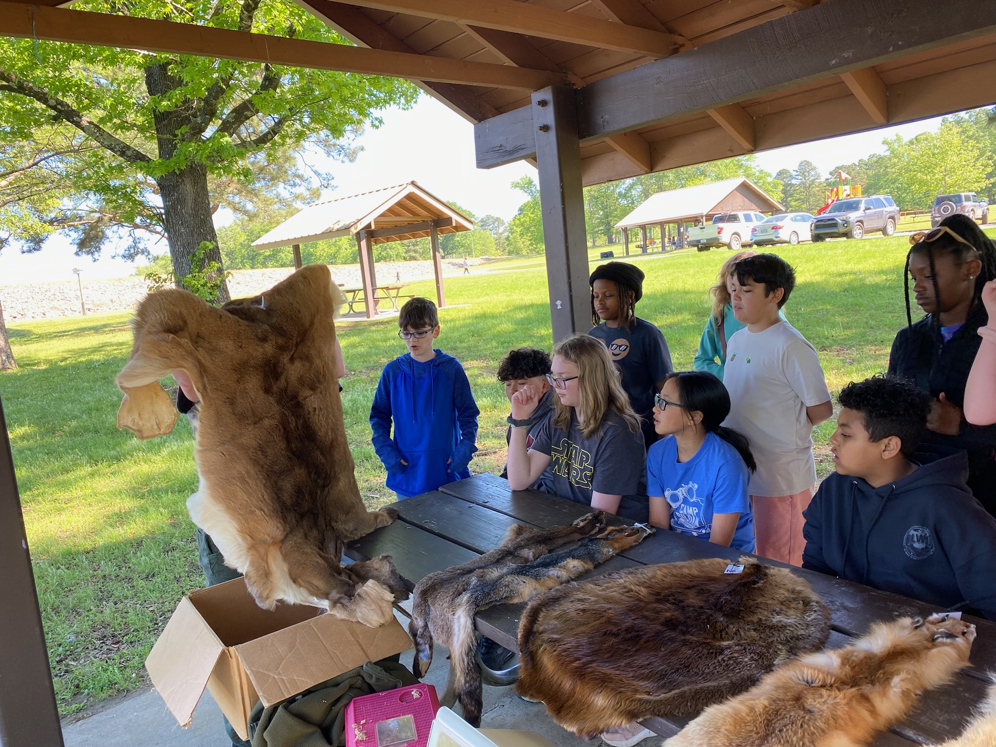 students looking at animal pelts