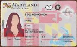 MD driver's license
