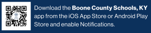 BCS Info