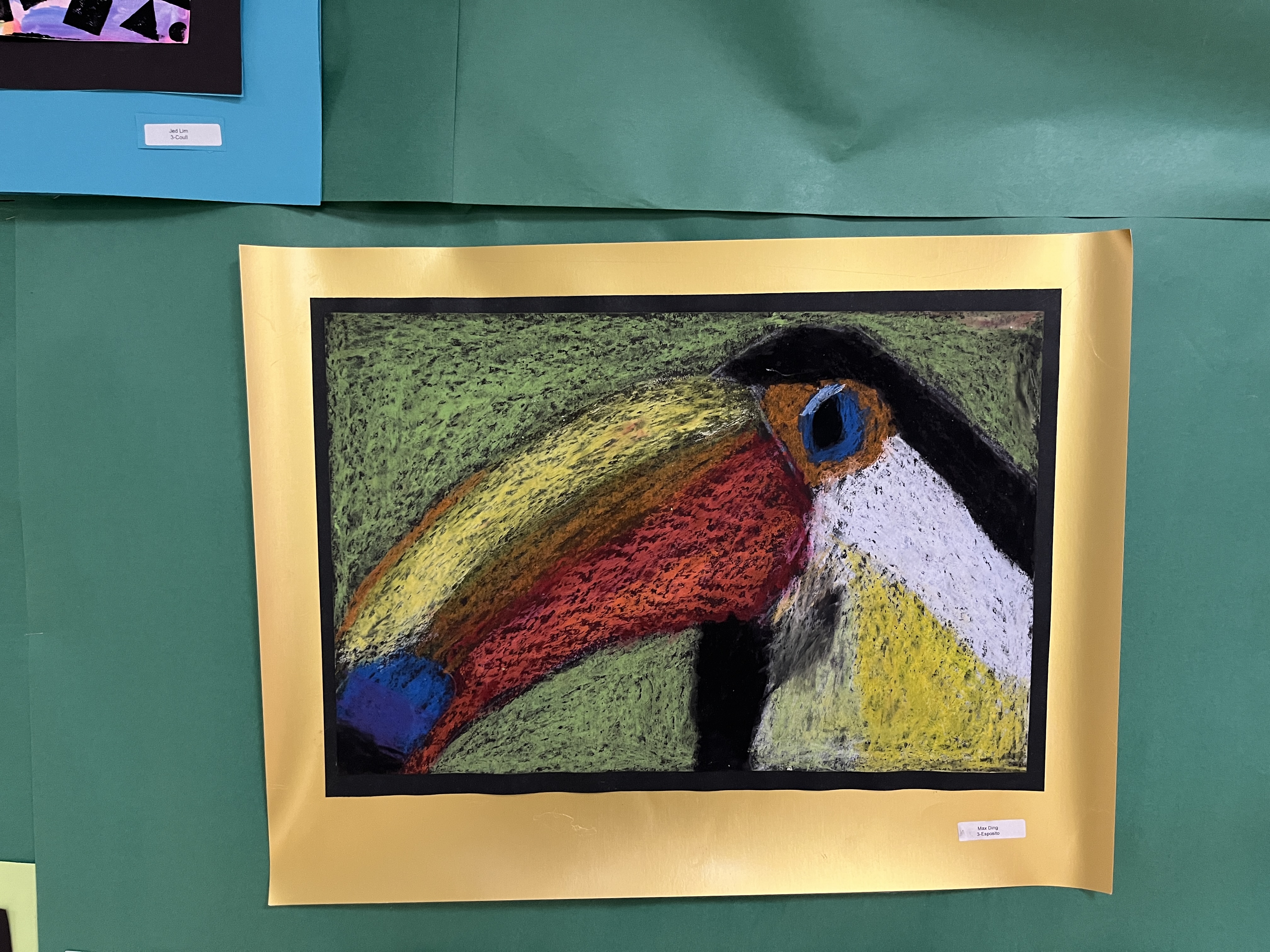 toucan