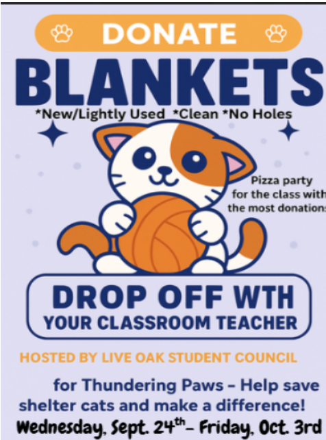 Picture of kitten with a ball of yarn; student council blanket drive from 9/24-10/3 for animal shelter