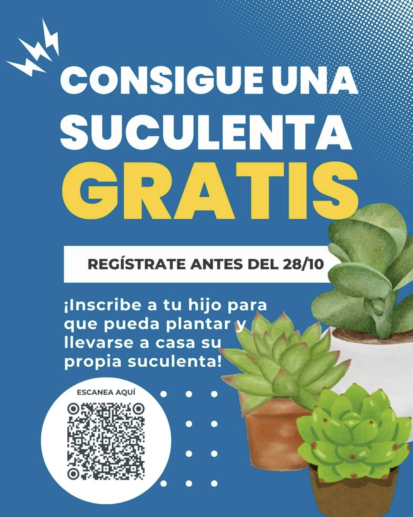 succulent Spanish
