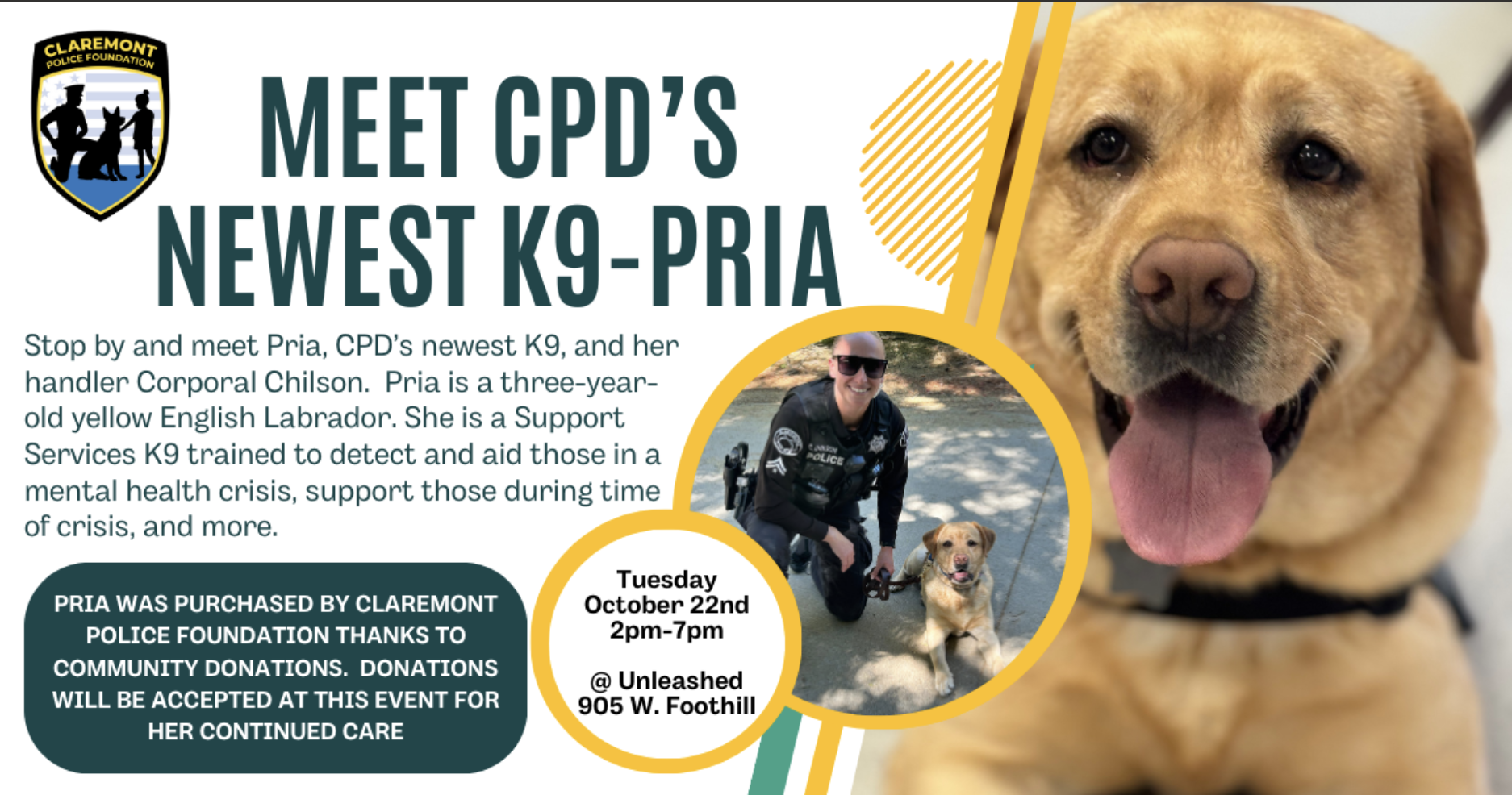 Meet CPD's K9