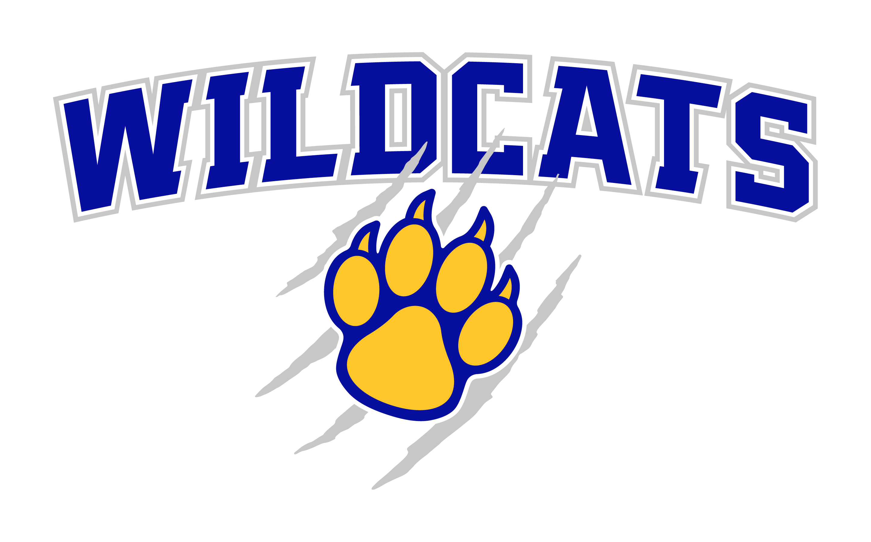 Wildcat