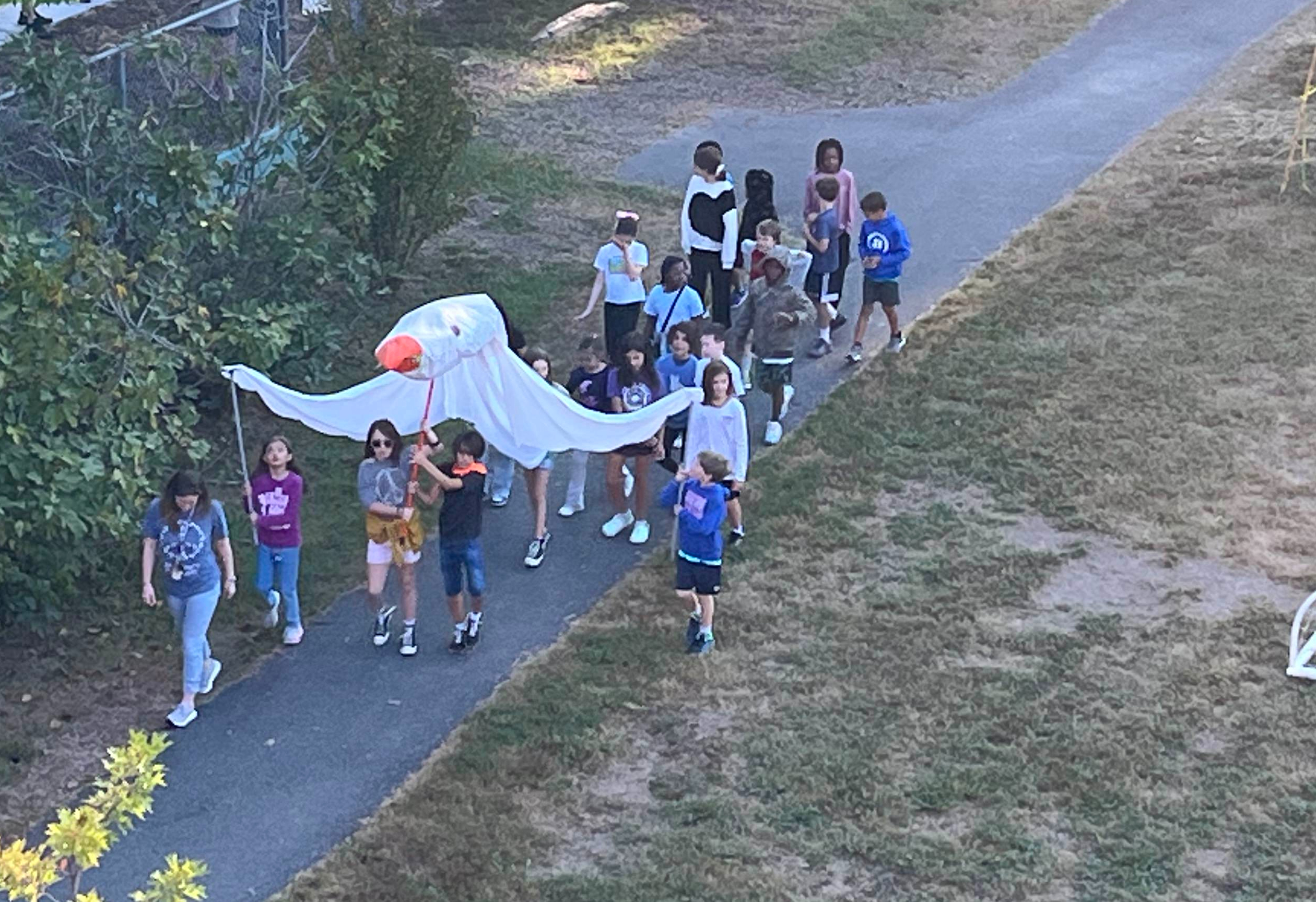 Peace Parade overhead pic