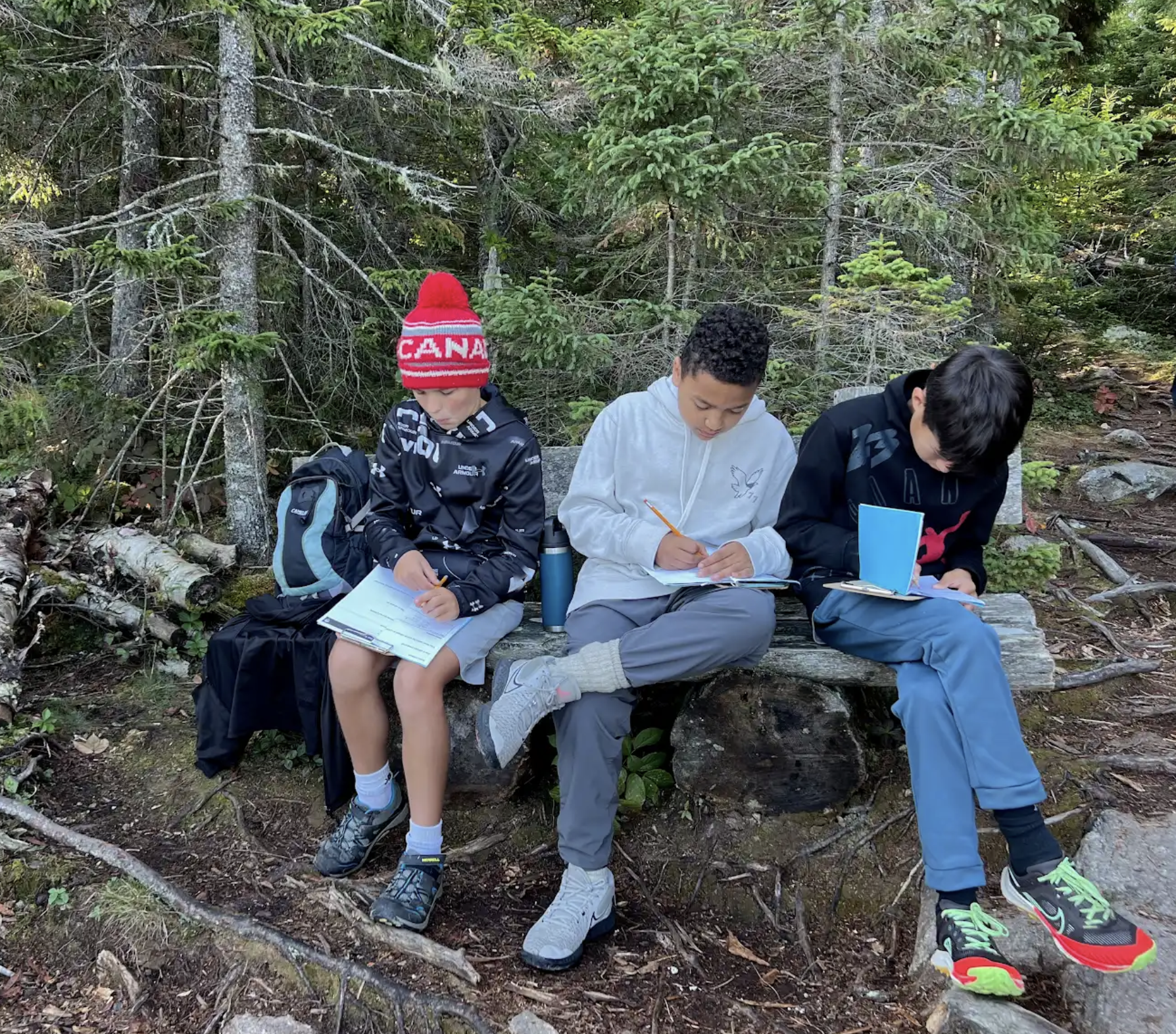 MDES Newsletter
