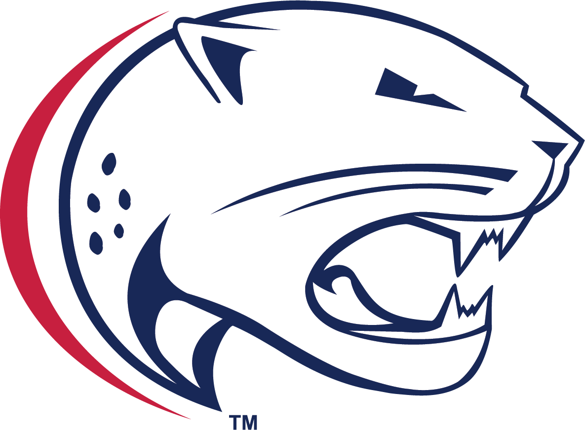 USA logo