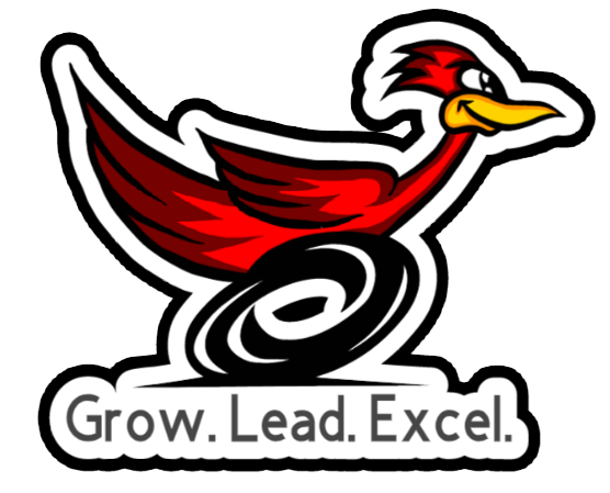grow lead excel