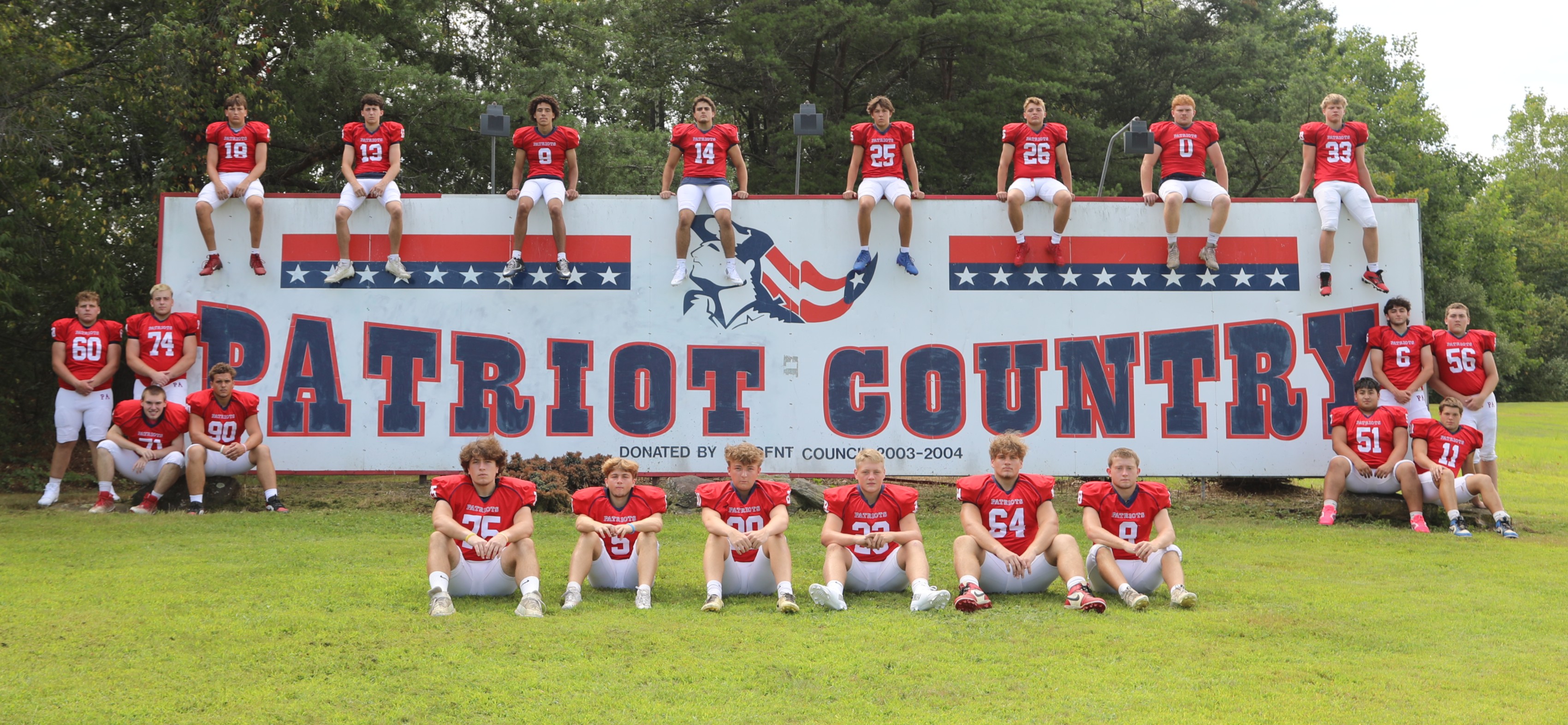 Patriot Sign Football
