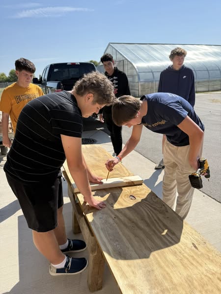 Preparing the Barn for Chickens
