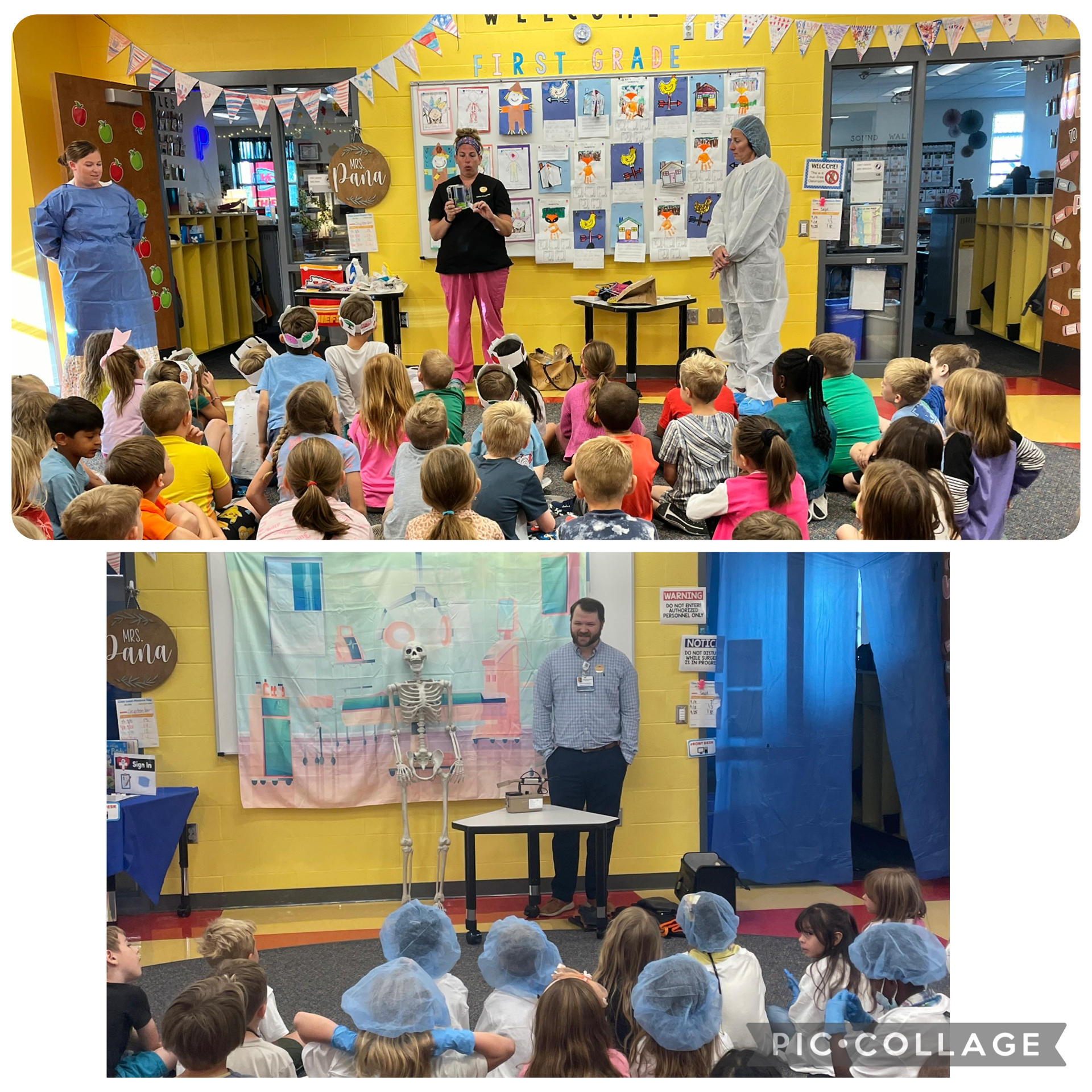 1st Grade: Human Body Unit