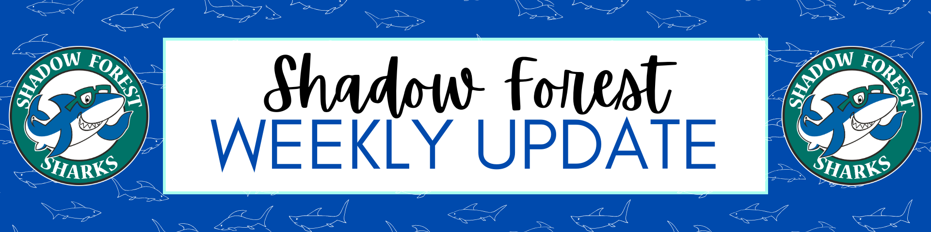 sfe weekly update