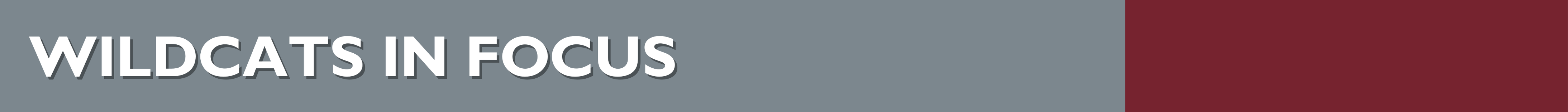 Wildcats in Focus header