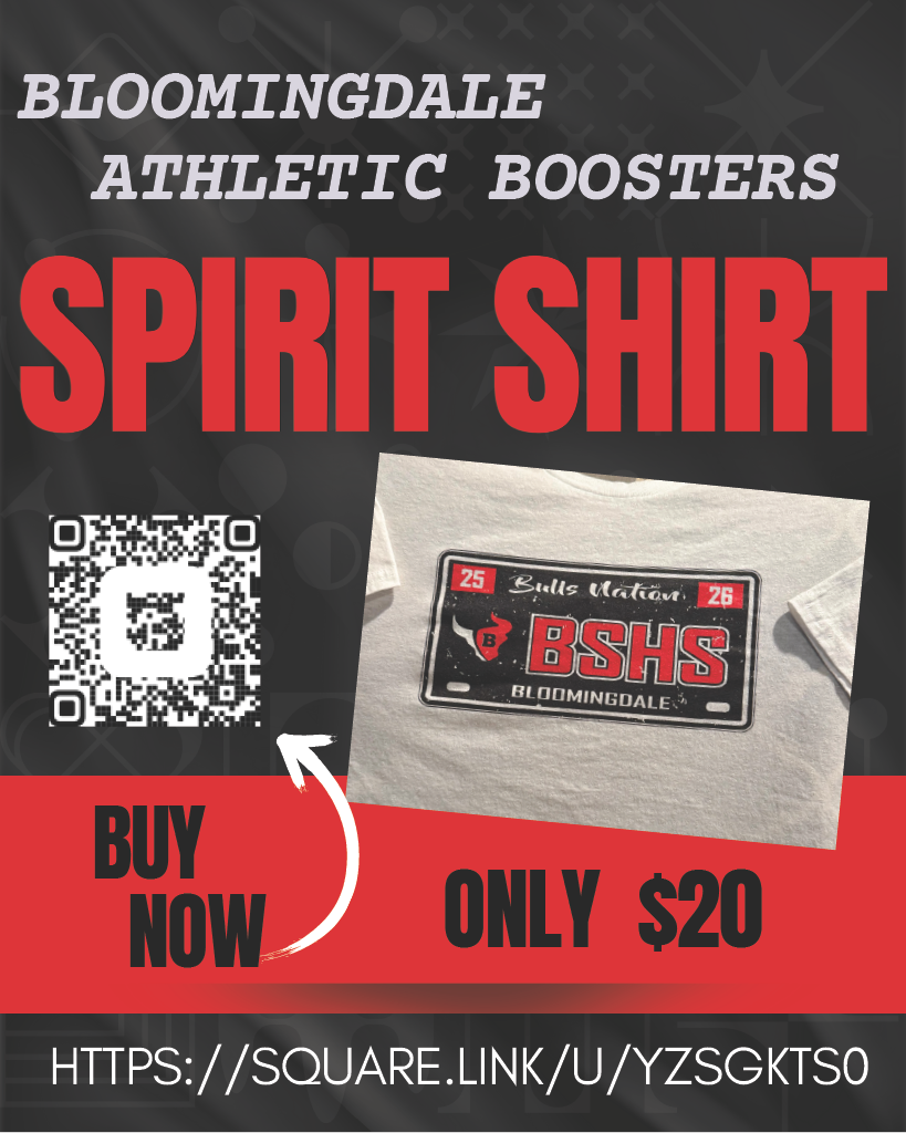 spirit shirt