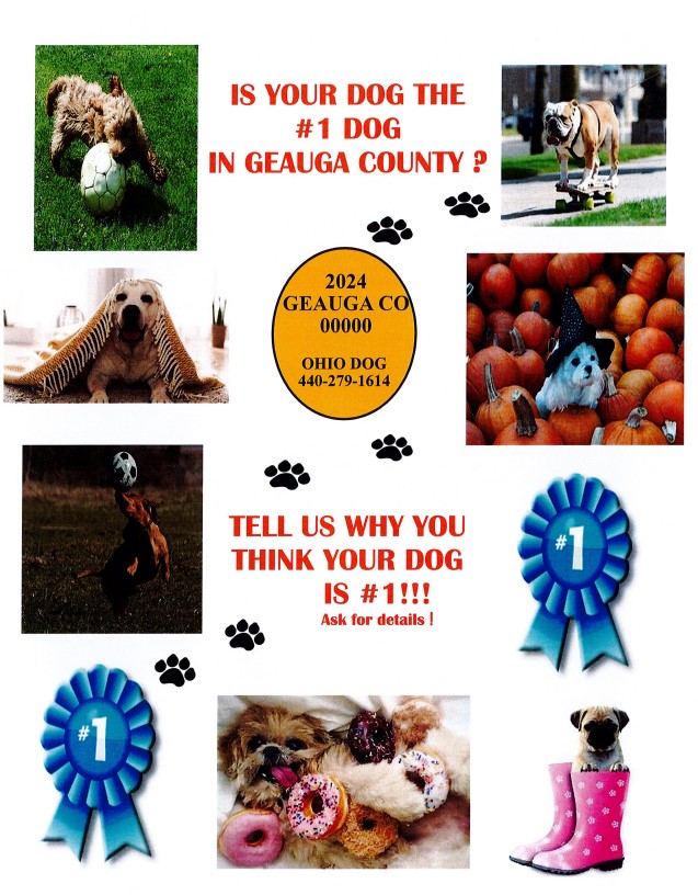 Geauga County Dog Contest