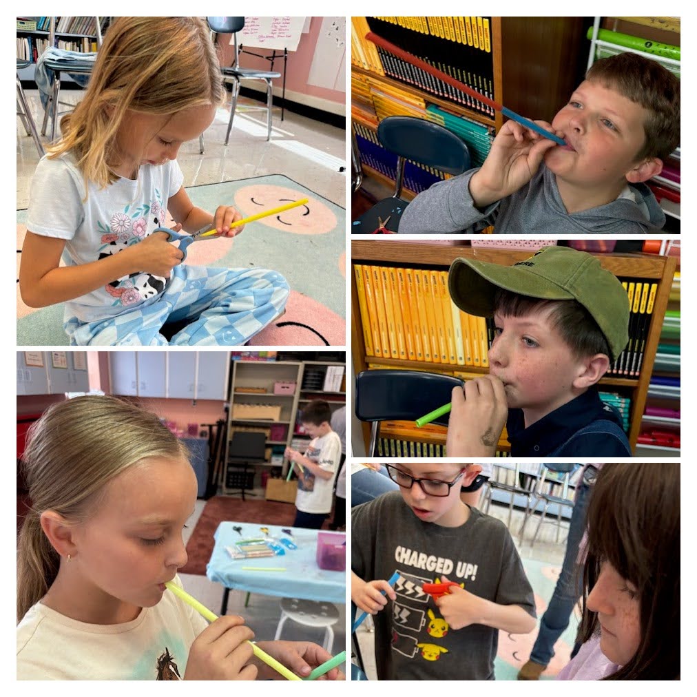 4 Music Straw Kazoos