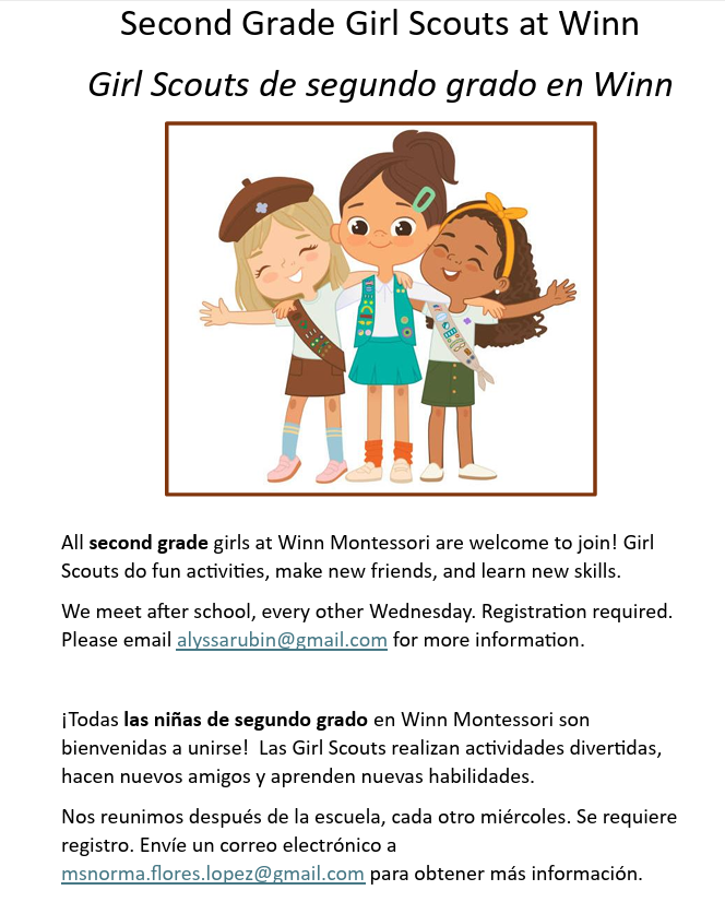 Girl Scouts Flyer