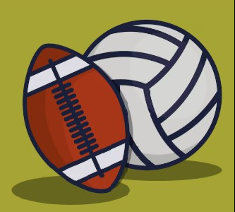 Football and volleyball image