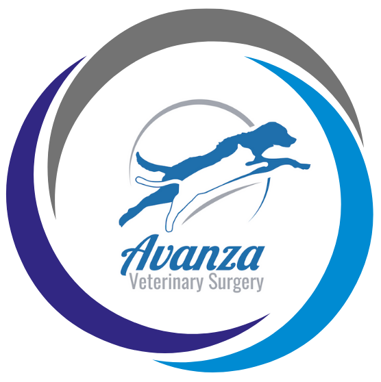 Avanza Veterinary Logo