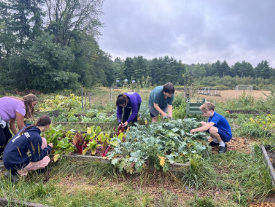 WMS Garden